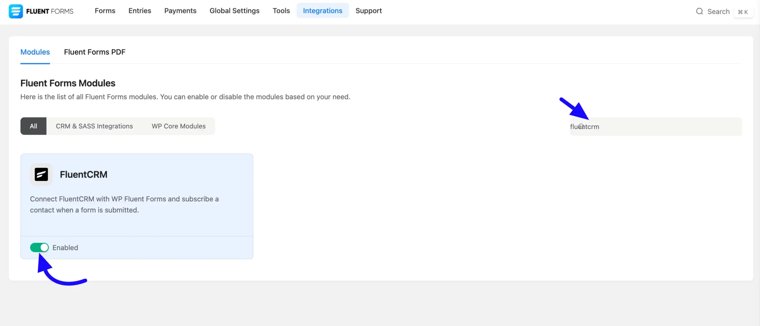 FluentCRM Integration With