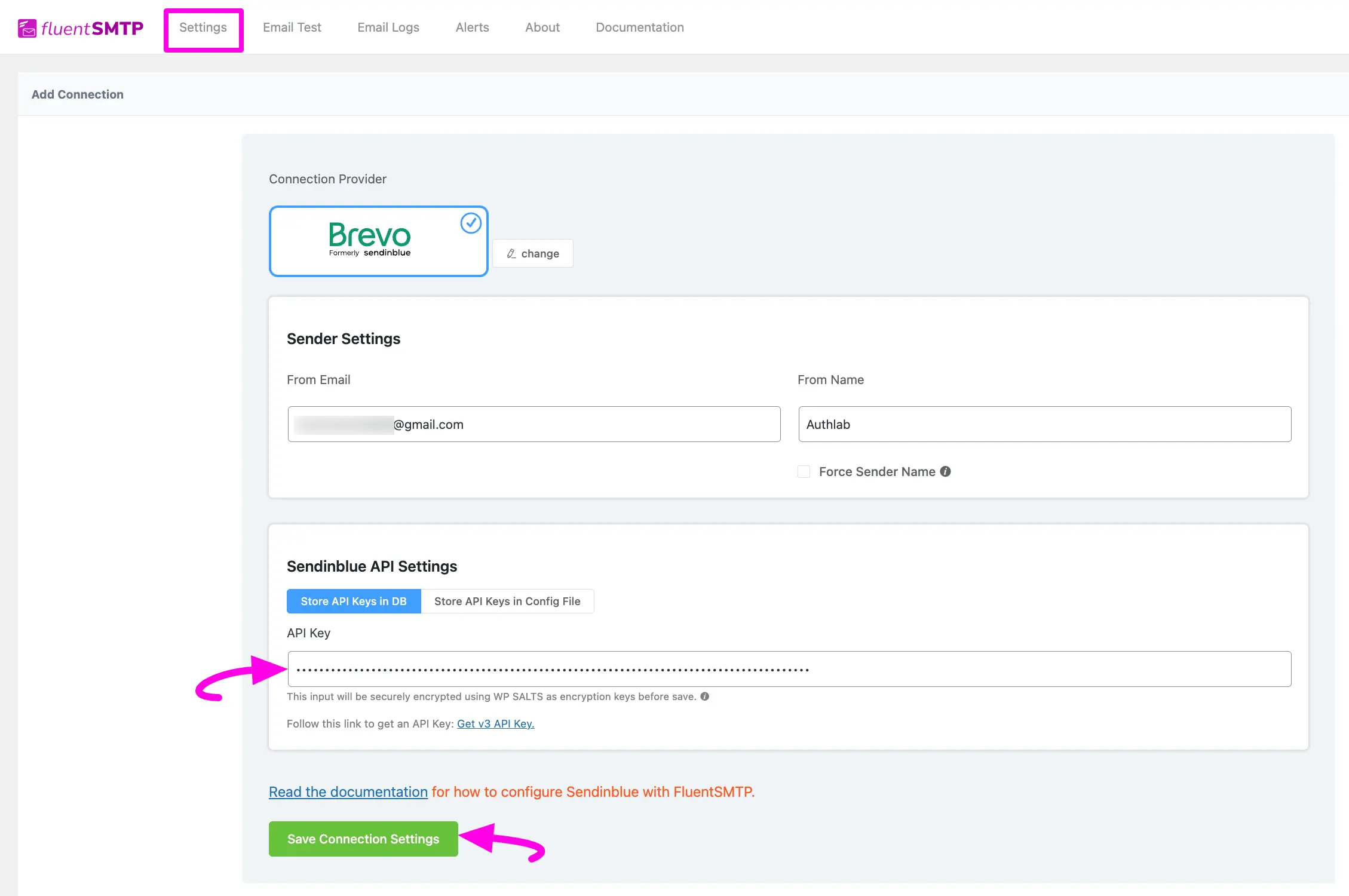 Paste API key